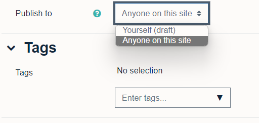 Using the dropdown menu under 'Publish to' you can select the audience for your blog