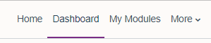 Top navigation menu that appear on every page. Menu options are 'Site home', 'Dashboard' which is underlined as it is the landing page, 'My modules' and 'More'.