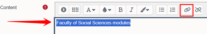 Text that is selected in Moodle