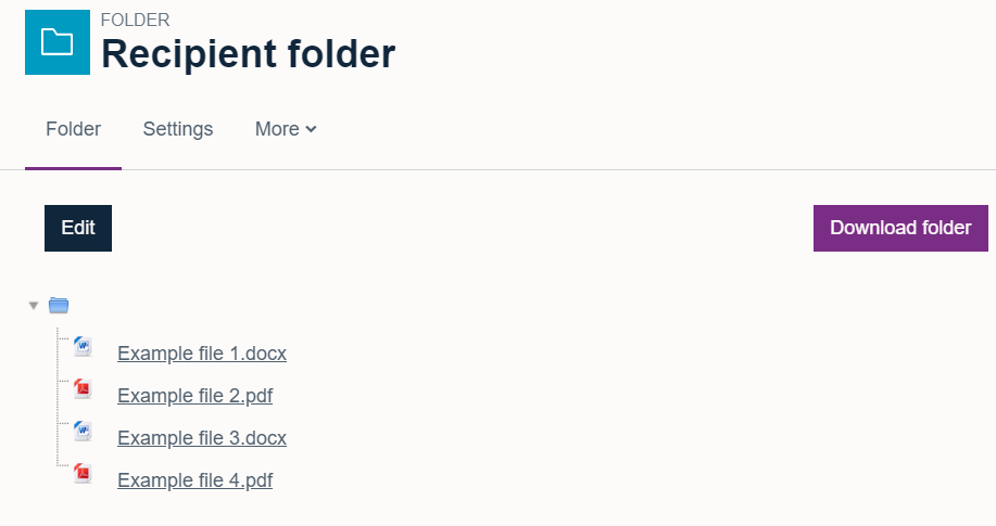 The unzipped files now displayed in the new folder.