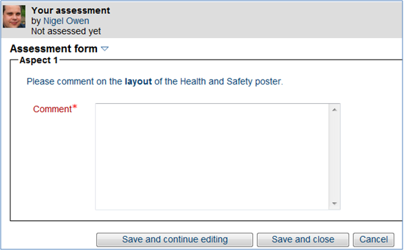 Student view of comments in workshop