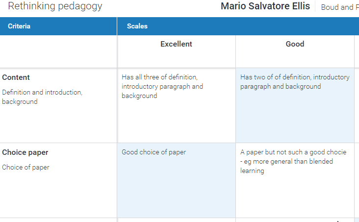 Example of a rubric in Turnitin