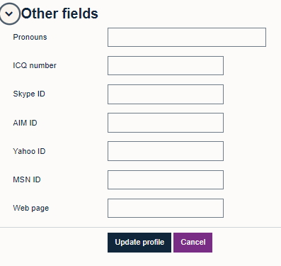 option to add additional information shuch as pronouns, ICQ no. Skype ID, AIM id, Yahoo ID, MSN id, and a web page. 