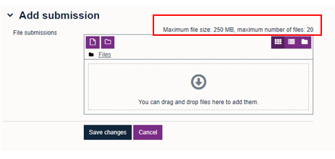 Submitting an assessment page with file size highlighted