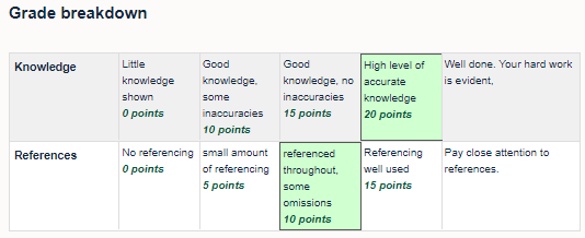 The student  view of the rubric once released. The marker comments and levels are visible