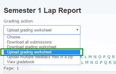 moodle assignment report