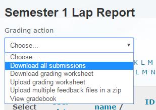 moodle assignment report