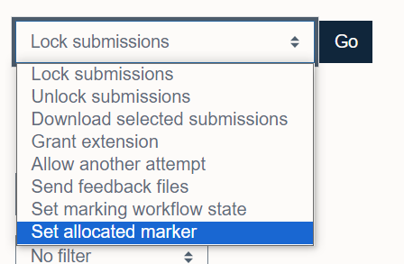 Set allocated marker for students on Moodle Assignment