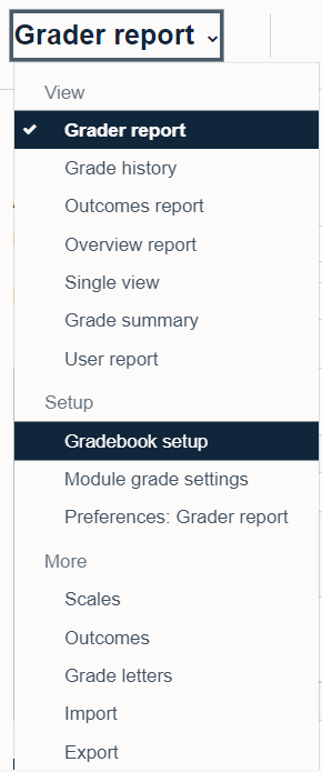 The grader report drop down menu showing the option to select gradebook set-up.