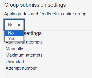 Grading Group submission settings screenshot