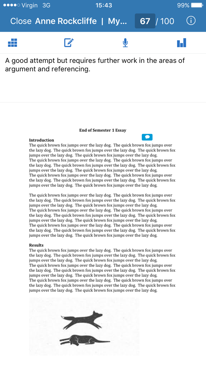 iPhone version of Turnitin displaying an assignment