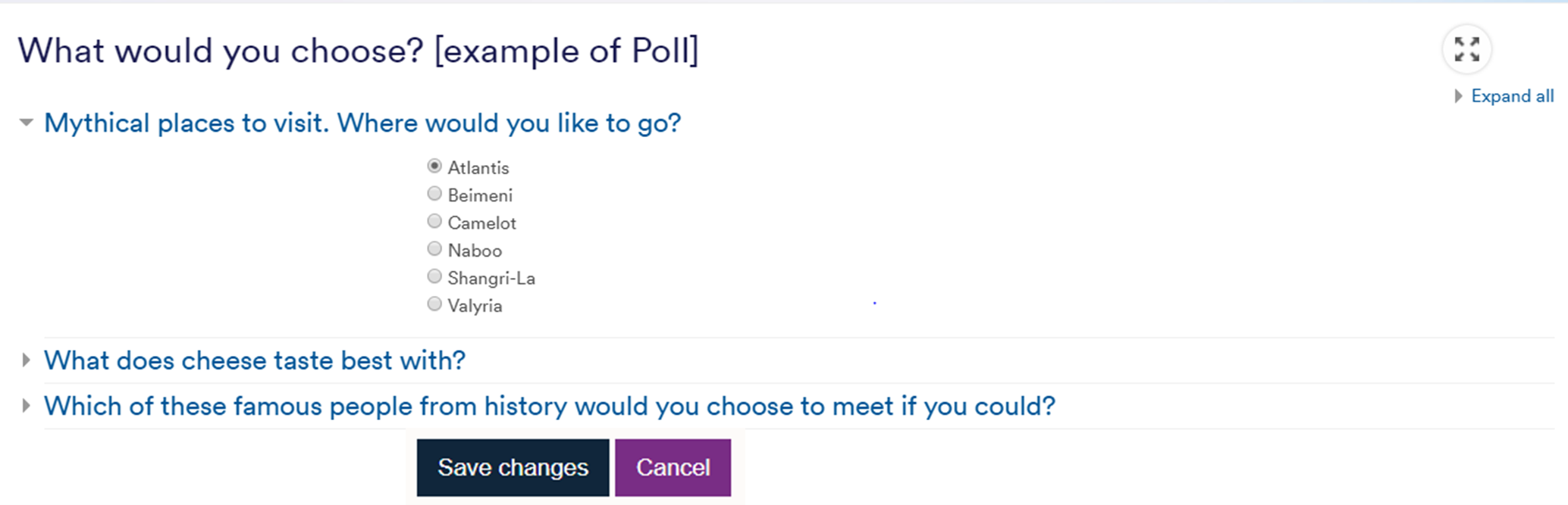 Example of a voting activity.