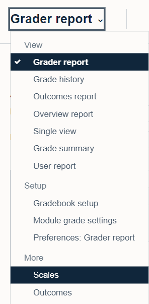 The grader report drop-down menu with the option to select scales