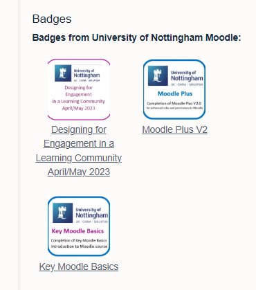 Badges section in profile