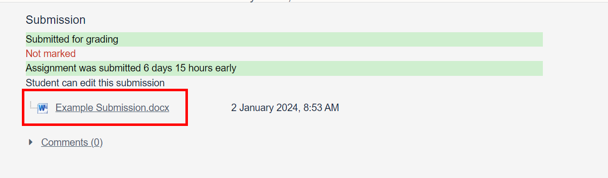 Highlighting the file on a student submission which you will need to download to mark.