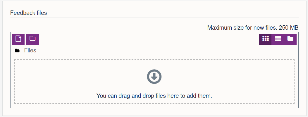 Showing the file attachment box, where you can drag and drop a feedback sheet to upload as part of your feedback.