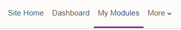Top navigation menu in Moodle with My Modules selected