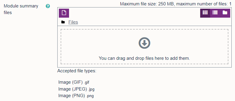 Module summary files section on Edit Module Settings page