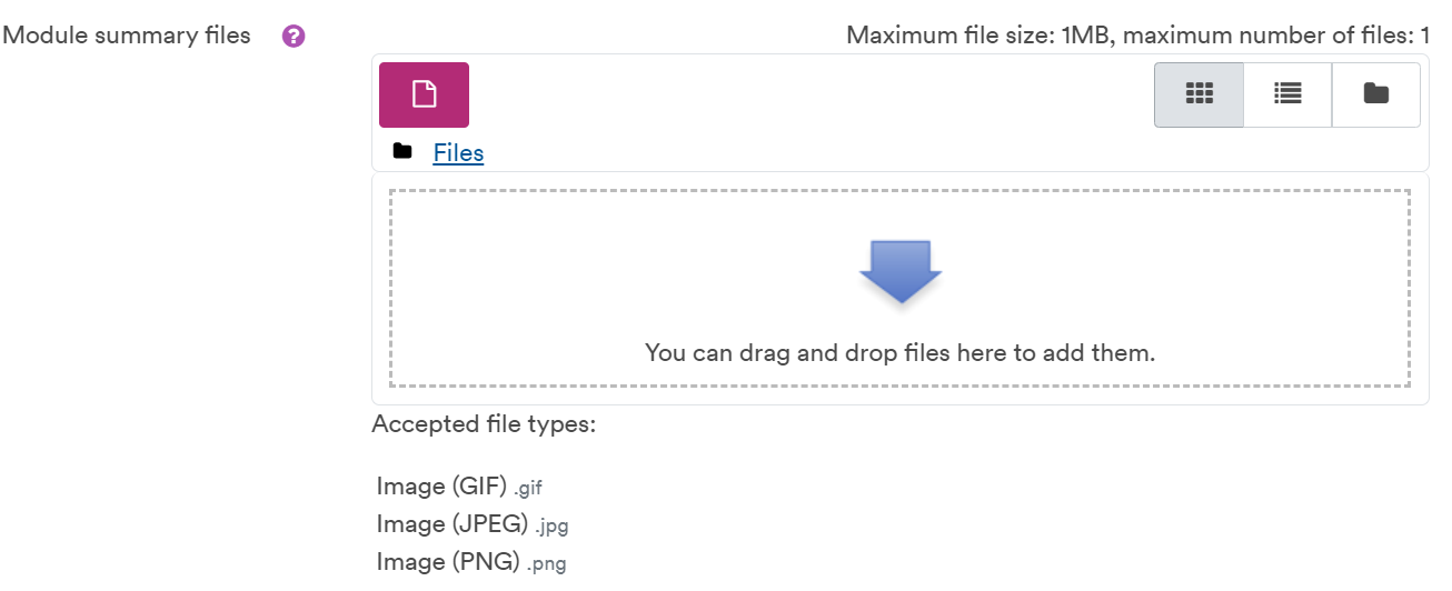 Module summary files section on Edit Module Settings page