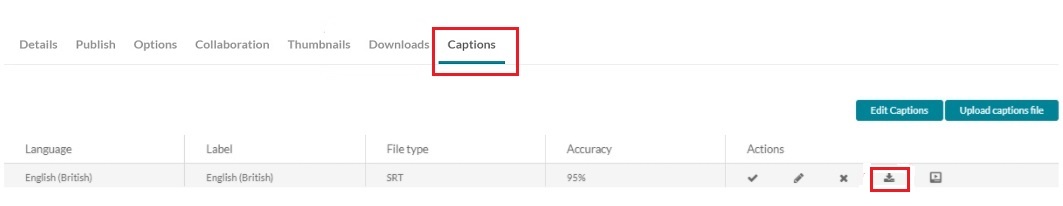 The captions tab showing the option to download