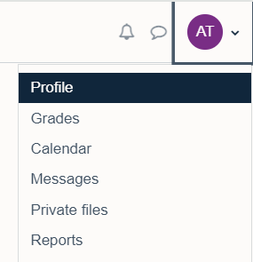 profile option at the top of the drop down list.