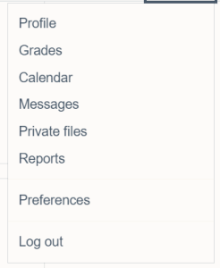 The dropdown menu next to your profile icon on Moodle 4.1