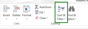 Sort and filter button in Excel