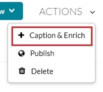 The captions and enrich option in the drop down menu